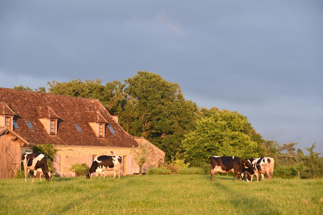 Chambre D'Hotes La Ferme De La Croix. Saint-Avit-Sénieur Екстериор снимка