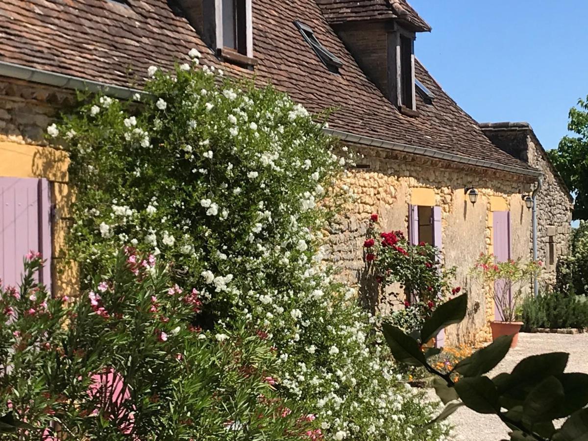 Chambre D'Hotes La Ferme De La Croix. Saint-Avit-Sénieur Екстериор снимка